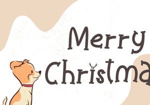 Christmas Lucky