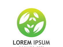 Natural green leaf logo design.