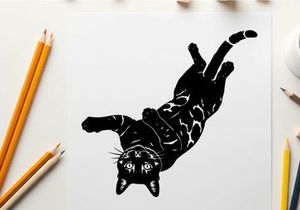 Silhouette of a playful cat in mid air falling or jumping