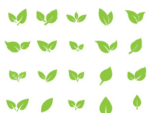 Leaf logo vector icon design template