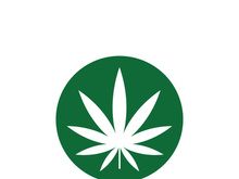 Canabis leaf logo and symbol vector