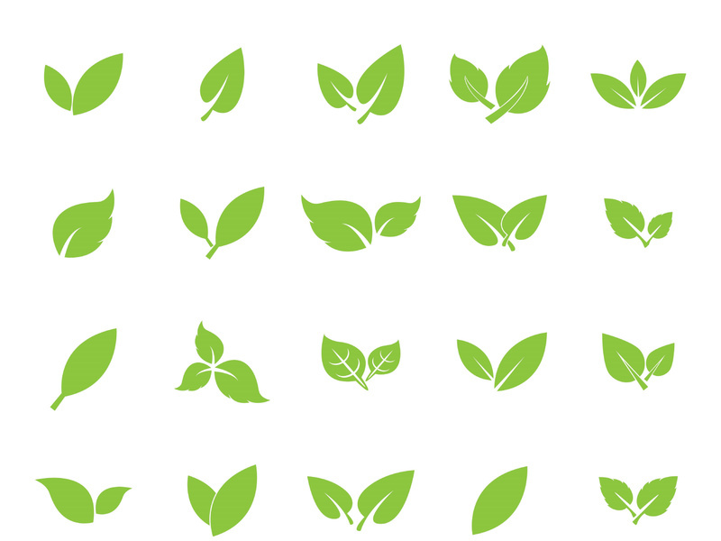 Leaf logo vector icon design template