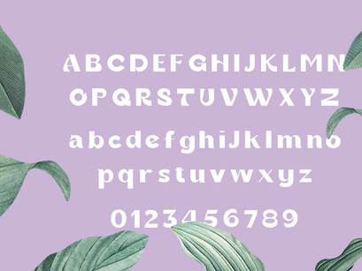 Gania Display Typeface