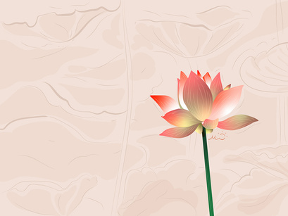 Lotus Illustrations