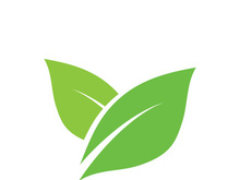 leaf logo green ecology nature element vector image