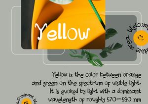 Creative Designer