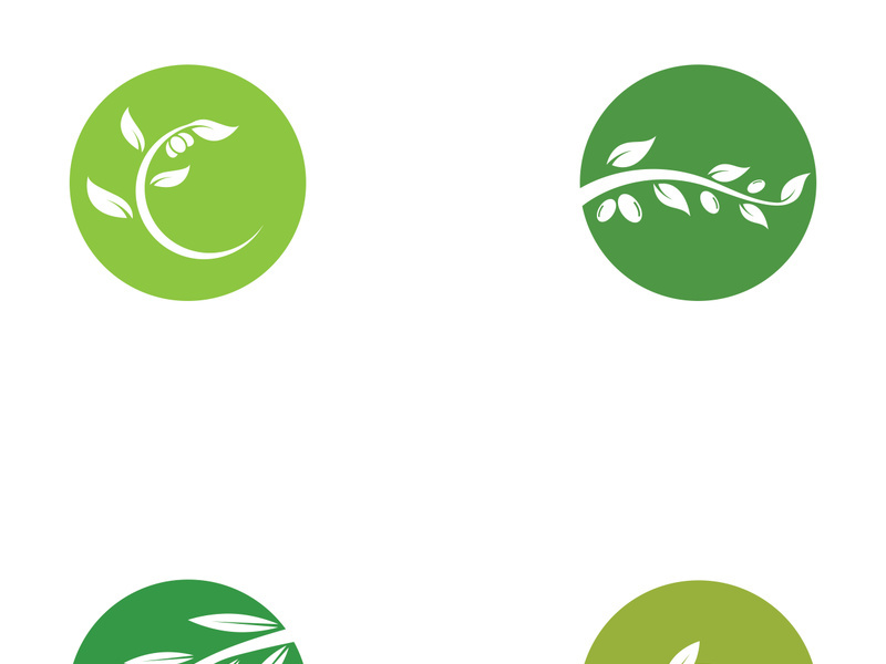 Olive fruit logo design.