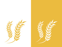 Wheat logo vector icon illustration design