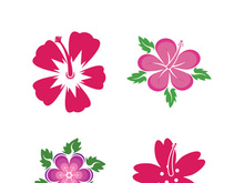 Flower vector icon design template illustration