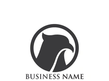 Falcon Eagle bird Logo Template vector illustration design