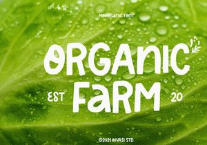 Moreganic - Organic Font