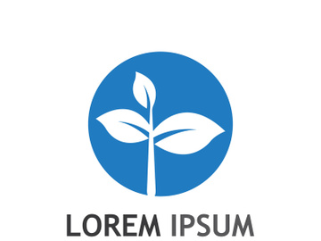 Natural green leaf logo. preview picture