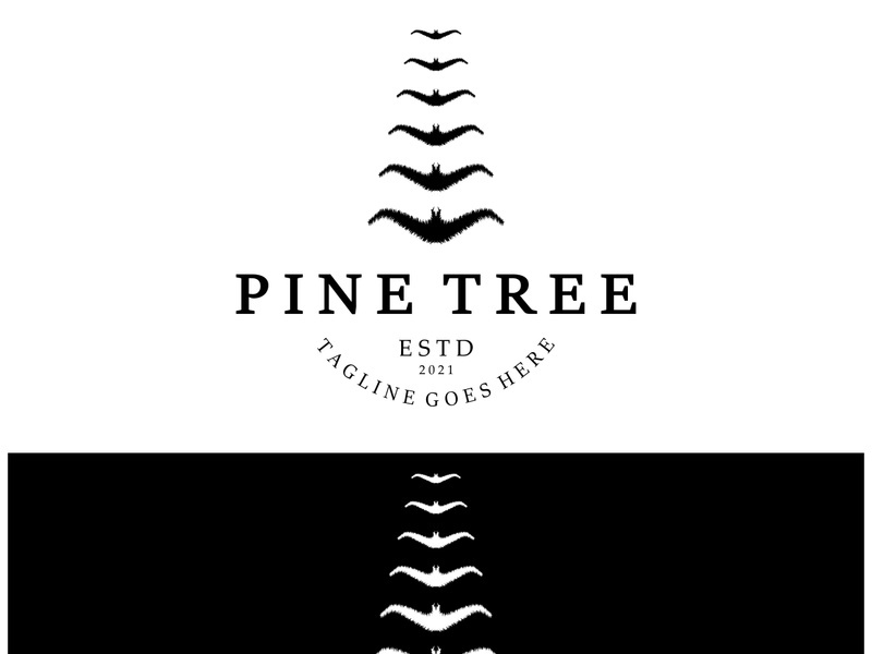 simple pine or fir tree logo,evergreen.for pine forest,adventurers,camping,nature,badges and business.vector