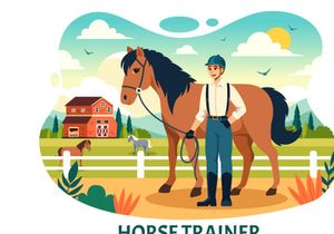 10 Horse Trainer Illustration