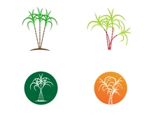 Sugarcane logo vectcr