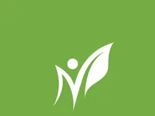 Leaf logo green nature vector image