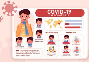 Coronavirus COVID19 Infographic