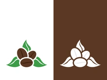 Coffee bean icon vector illustration template