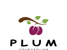 plum; logo; fruit; vector; leaf; illustration; food; icon; sweet; vegetarian; isolated; summer; healthy; nature; organic; green; vitamin; fresh; symbol; design; ripe; diet; apple; juicy; dessert; agriculture; autumn; background; cherry; peach; garden; natural; sign; delicious; plant; apricot; cartoon; set; art; freshness; flat; nutrition; orange; leaves; harvest; abstract; collection; fruits; health; berry