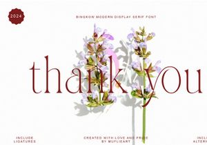 Bingkow modern display serif