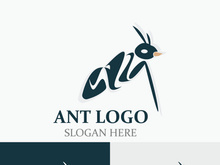 Ant logo design silhouette. Isolated animal ants on background design template vector
