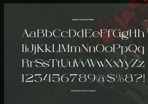 Orcars | Classic Serif Font