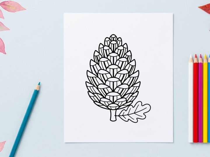 Stylized pine cone illustration. Artistic botanical drawing for nature themes
