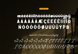 Second Moment | Hand Drawn Script Duo