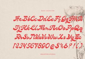 Nevroda Wisdom | Vintage Bold Script