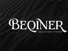 Beqiner Elegant Serif Typeface preview picture