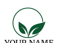 Green leaf logo design vector illustration