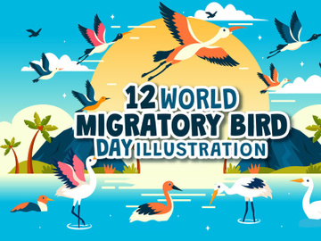 12 World Migratory Bird Day Illustration preview picture