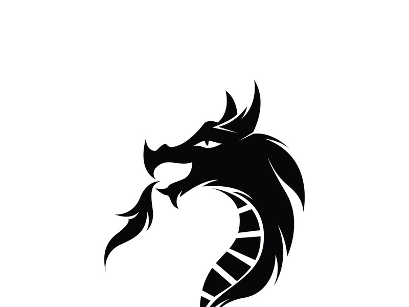 Dragon head vector image logo