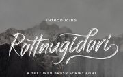 Rattnugidari - Brush Script Font