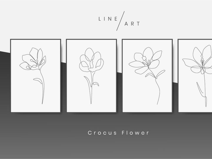 Crocus Flower Line art