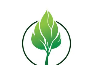 Leaf logo