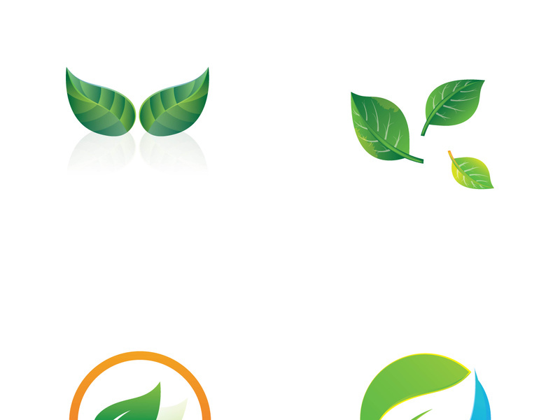 Natural green leaf logo design.