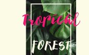 Barokatt Script Font