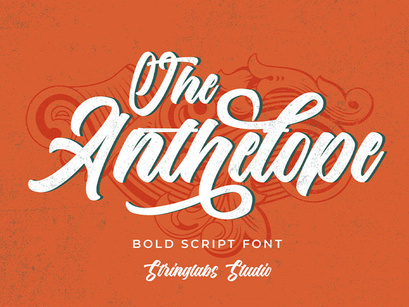 The Anthelope - Retro Bold Script Font