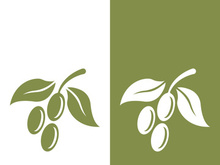 olive icon vector illustration design template