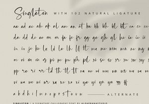 Singleton - Signature Font