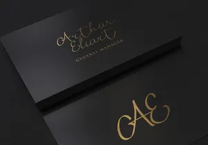 Porto Alegre Elegant Handwritting Signature Font