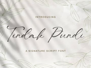 Tindak Pundi - Signature Script Font preview picture
