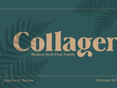 Collager - Modern Serif Family Font
