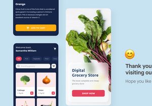 Grocery Design App UI Kit