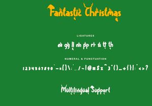 Fantastic Christmas