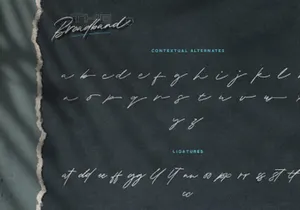 Free The Broadband Script Font