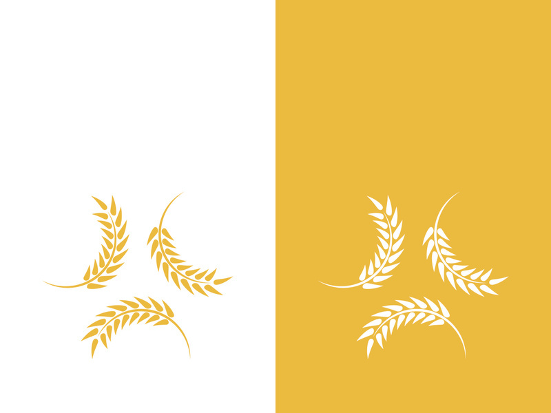 Wheat logo vector icon illustration design
