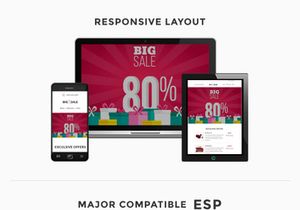 BIGSALE - Responsive Email Template