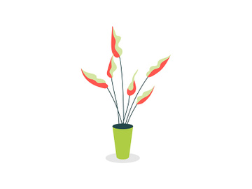 Indoor plant flat color vector object preview picture